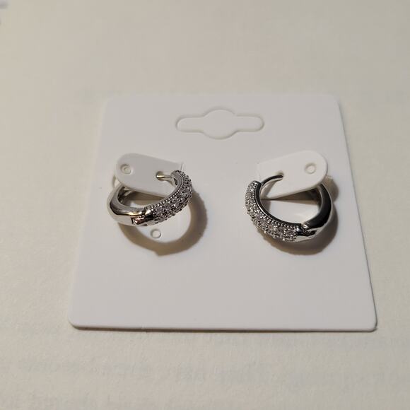 Hoop Zirconia Earrings - Picture 7 of 11